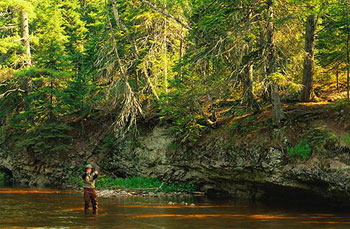 Fishing in the Ozarks!